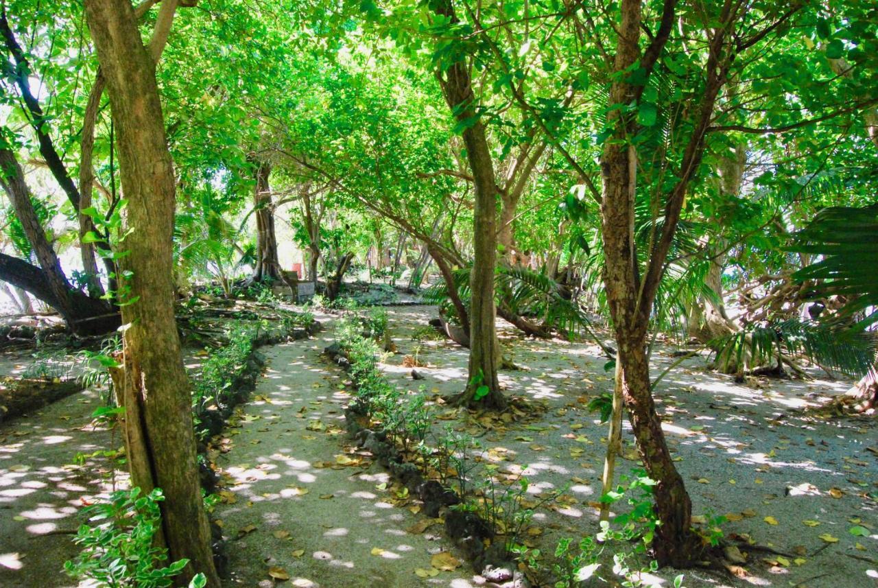 Вилла Imagination Island Гизо Экстерьер фото